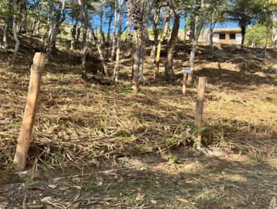 Terreno para Venda, em Petrpolis, bairro Bonsucesso