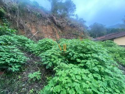 Terreno para Venda, em Terespolis, bairro Albuquerque