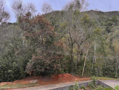 Terreno para Venda, em , bairro Prata