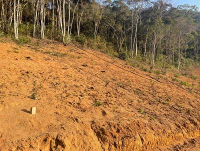 Terreno para Venda, em Teres�polis, bairro Green Valleiy